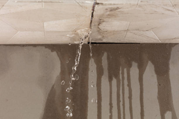 Professional Structural Drying technician working in Glen Dale, WV